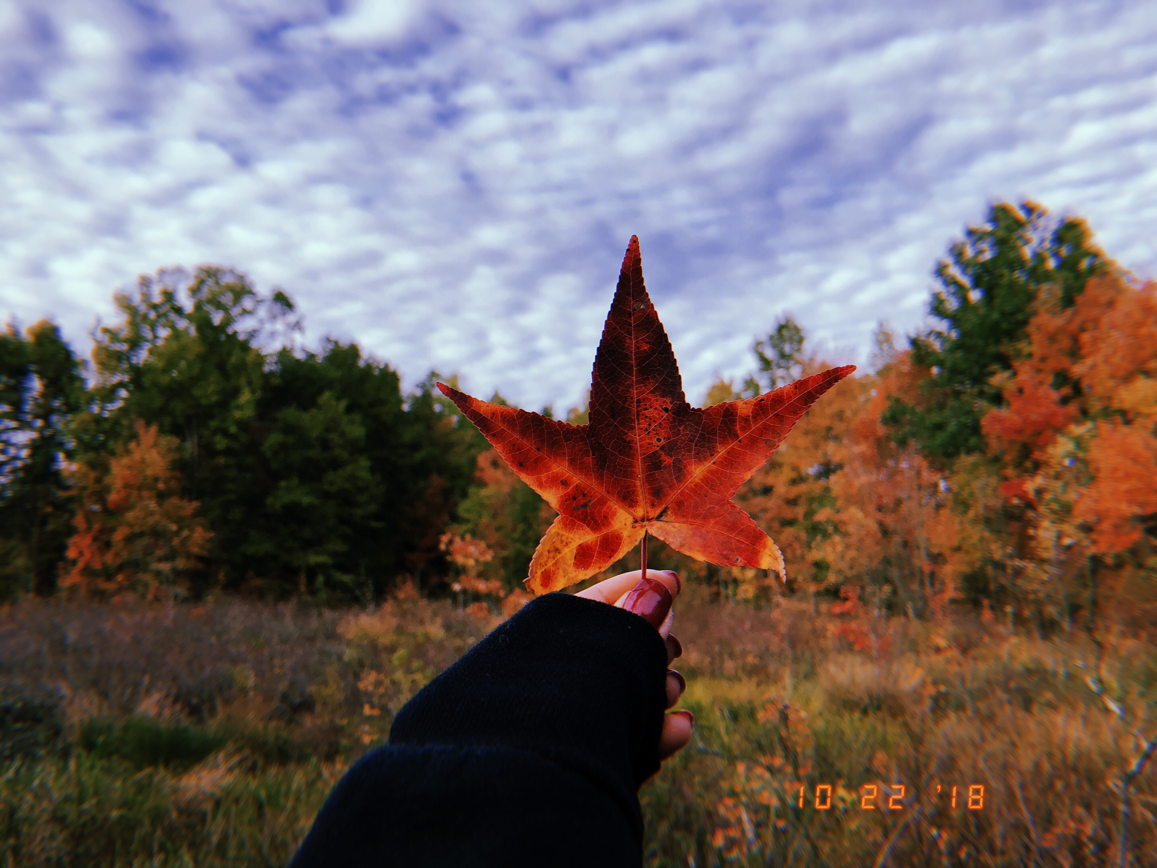 Great Swamp National Wildlife Refuge Loop