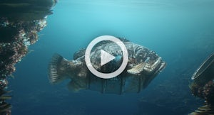 Watch 'Hybrids' - A Short Film on the Ocean & Pollution
