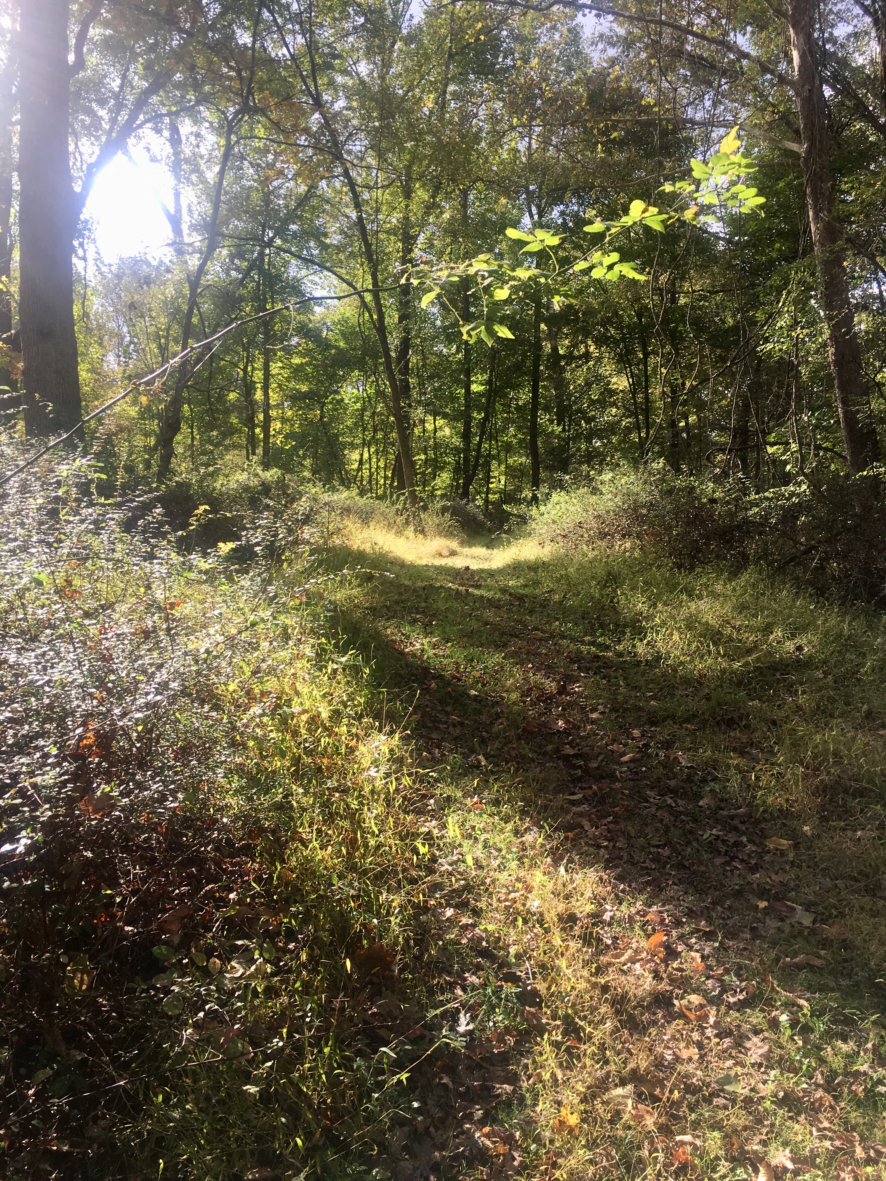 Hike, Bike, or Run the Lakeside Trail and Muncaster Mill Trail