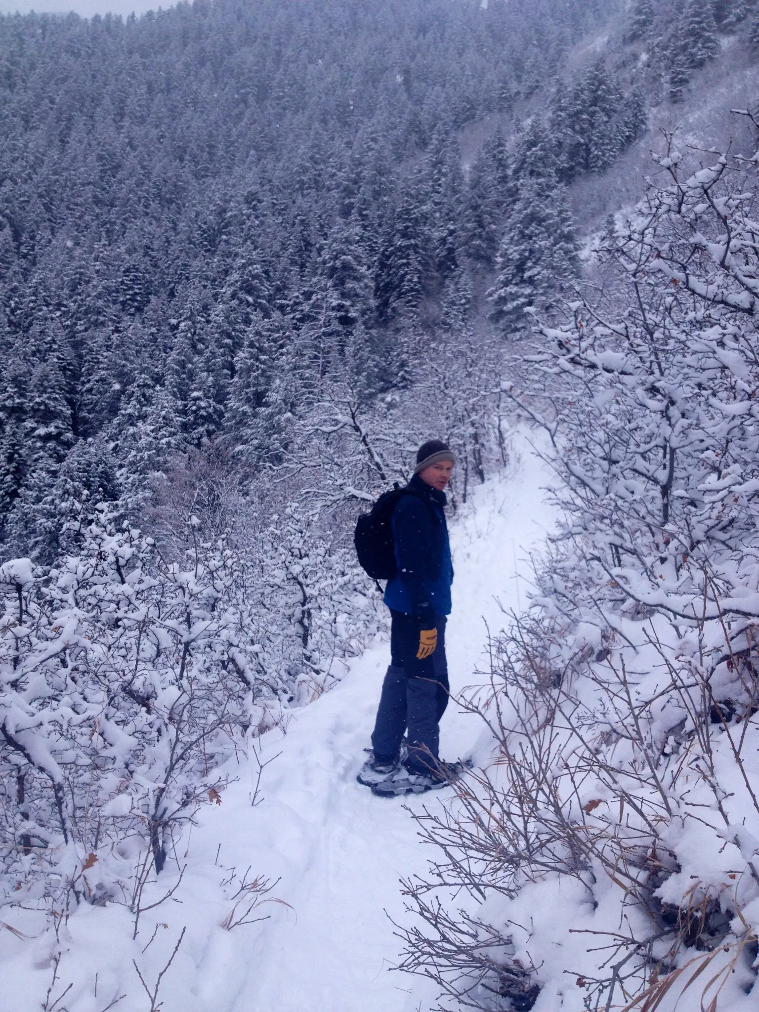 Salt Lake Overlook via Desolation Trail