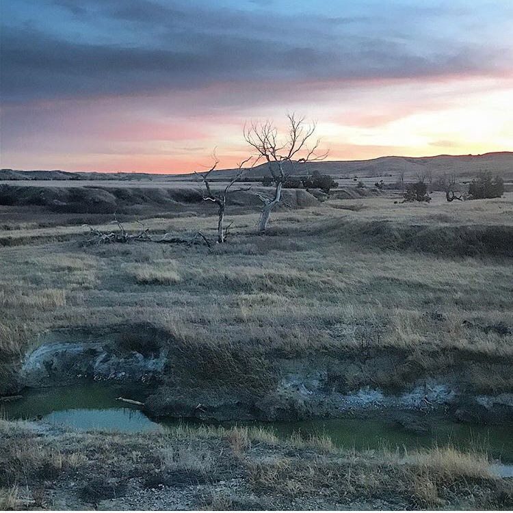 Camp at Sage Creek Campground