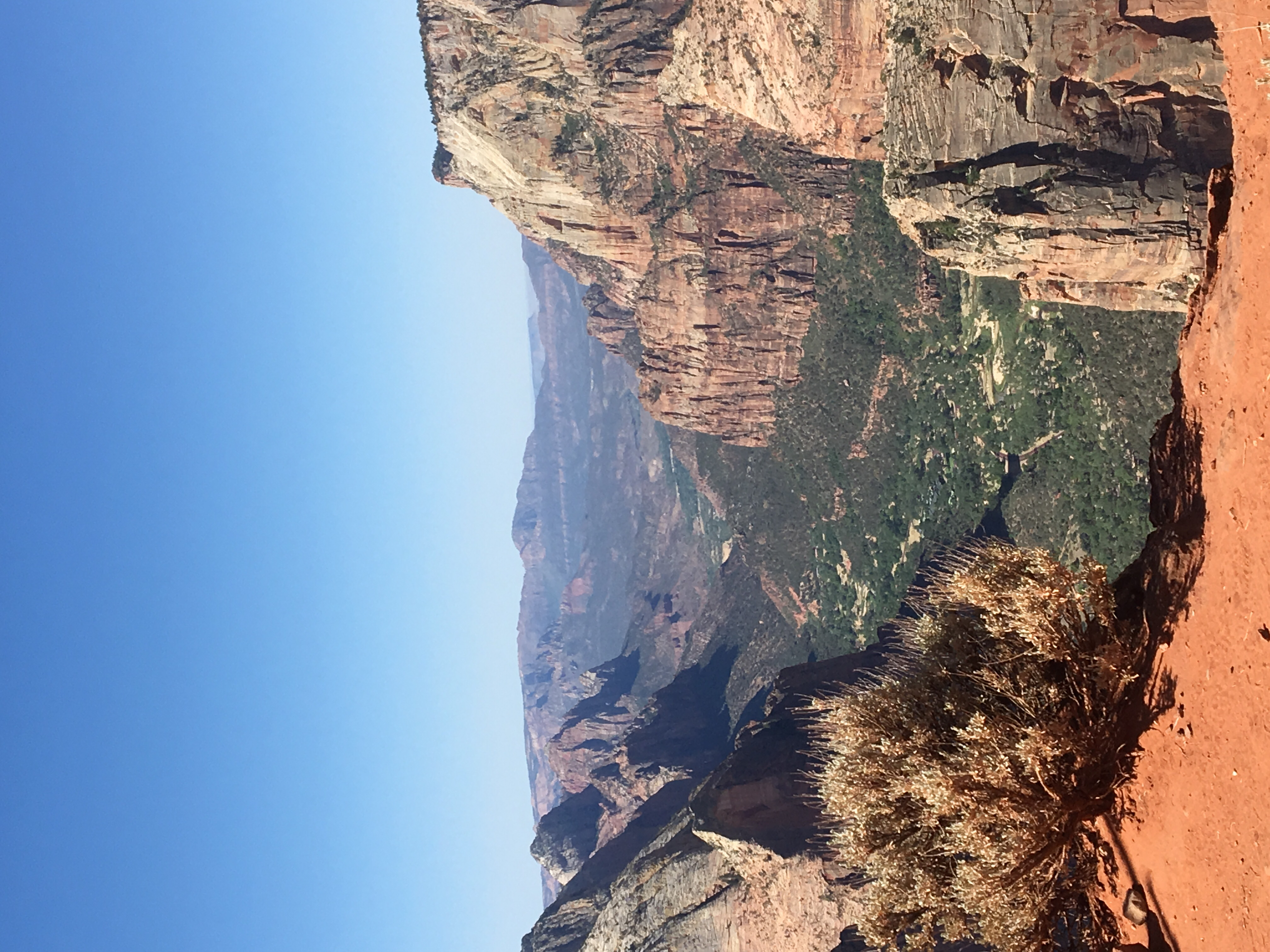 Canyon Overlook Trail