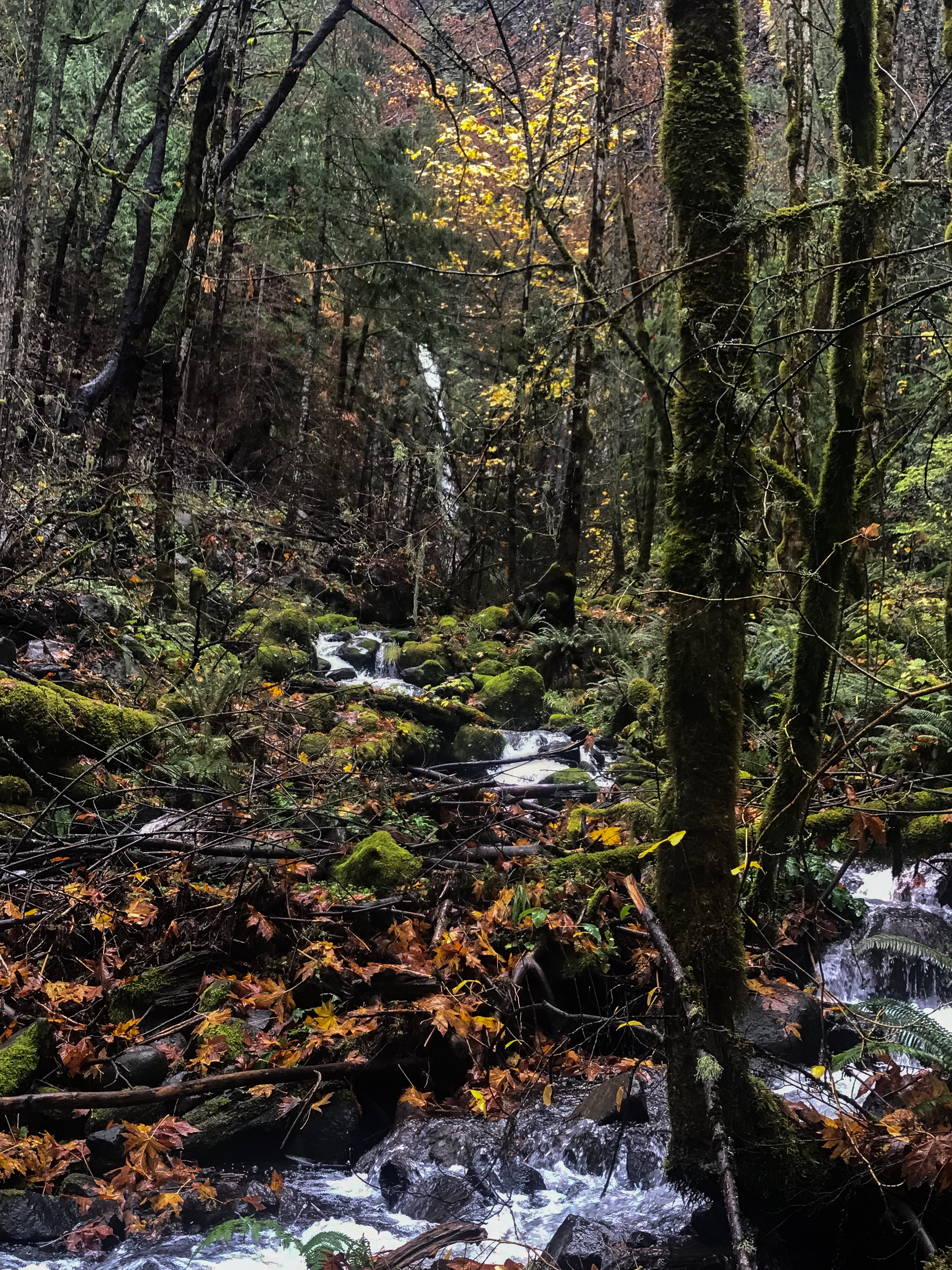 Dry Creek Falls via PCT