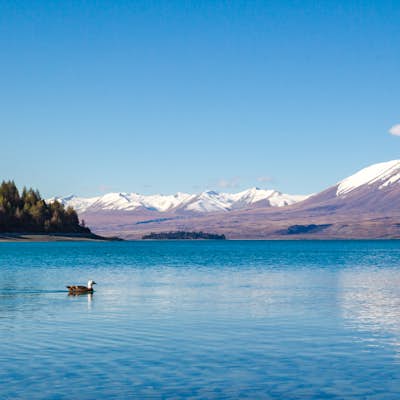 Explore Lake Tekapo
