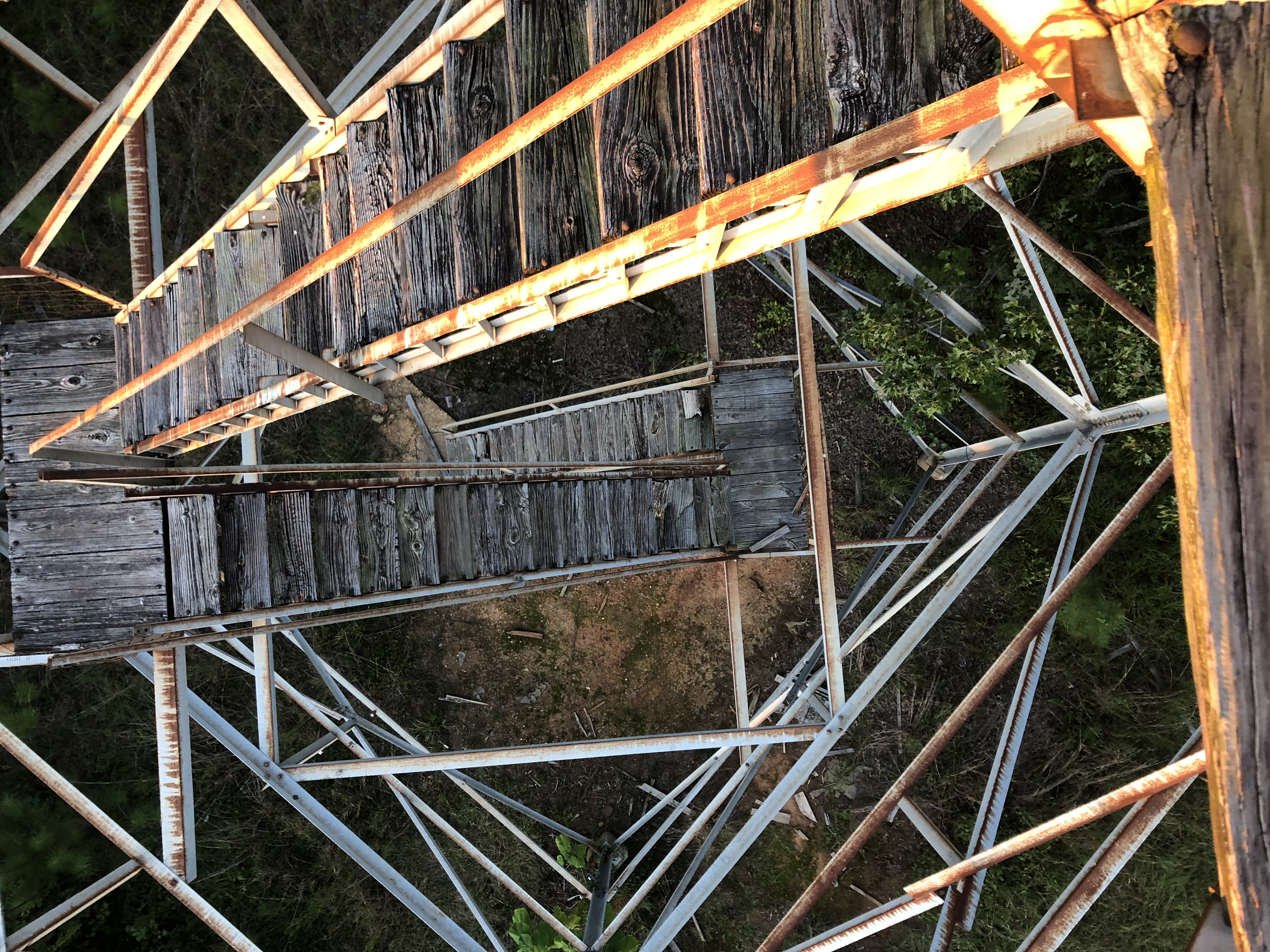 Climb the Unnamed Fire Tower in Tuscaloosa