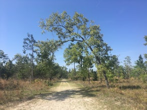 Explore Durbin Preserve