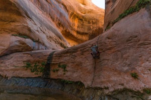 These 10 Photos Will Inspire You to Visit Lake Powell