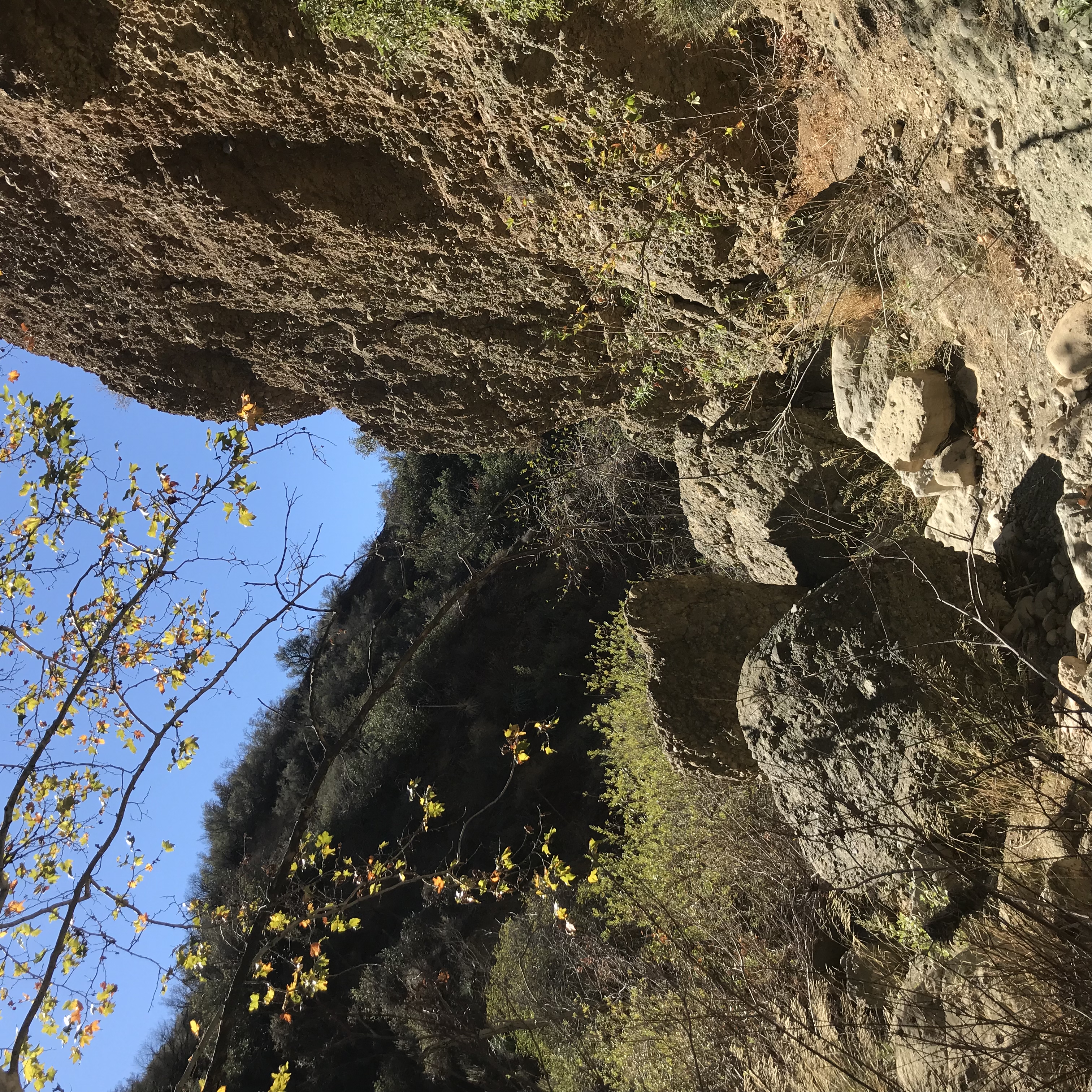 Black Star Canyon Falls