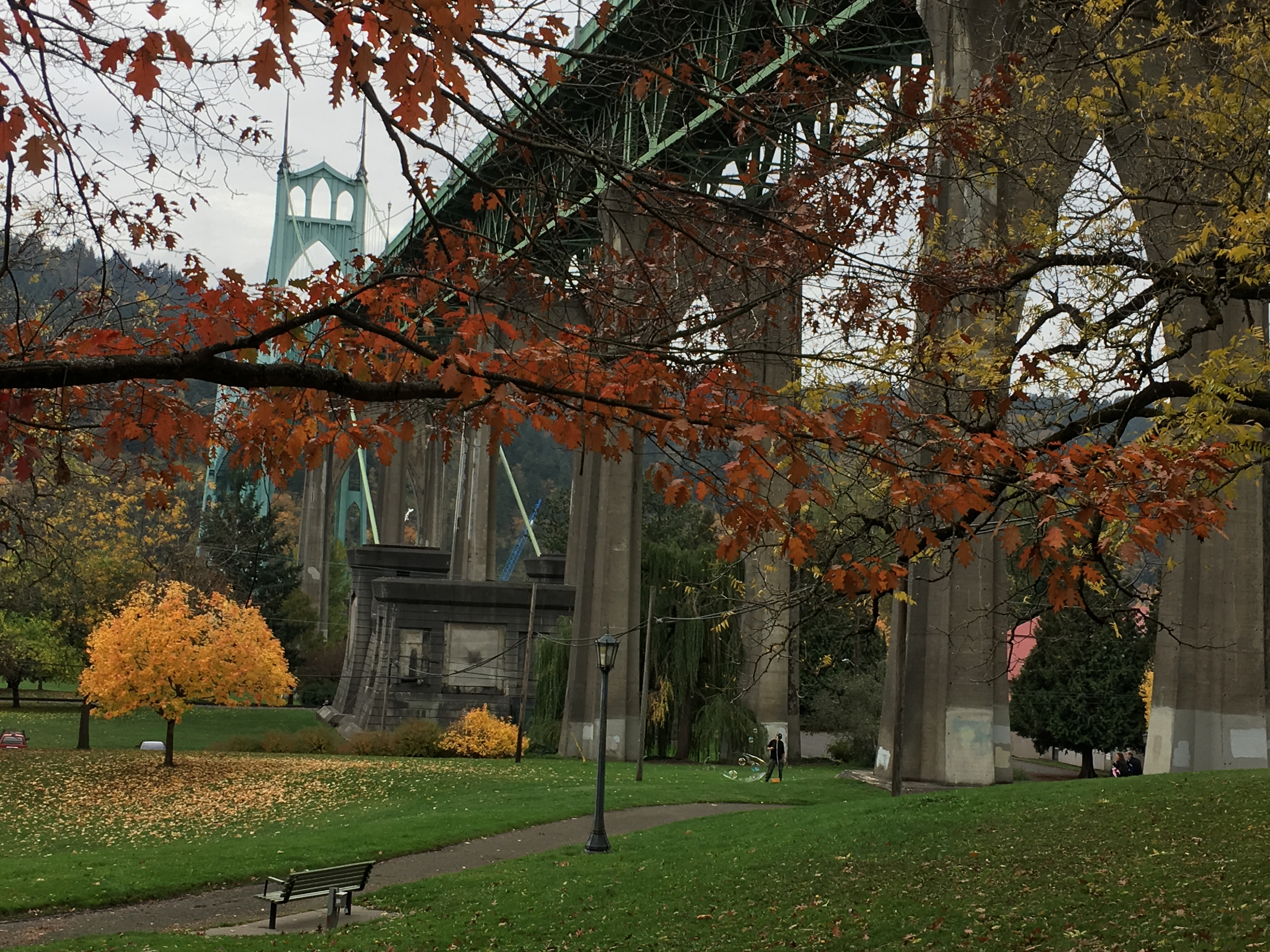 Explore Cathedral Park