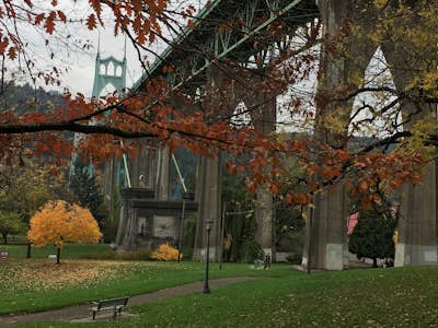 Explore Cathedral Park