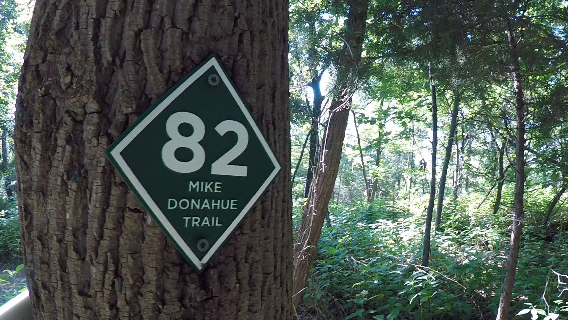 Explore the Hydaway Outdoor Recreation Center