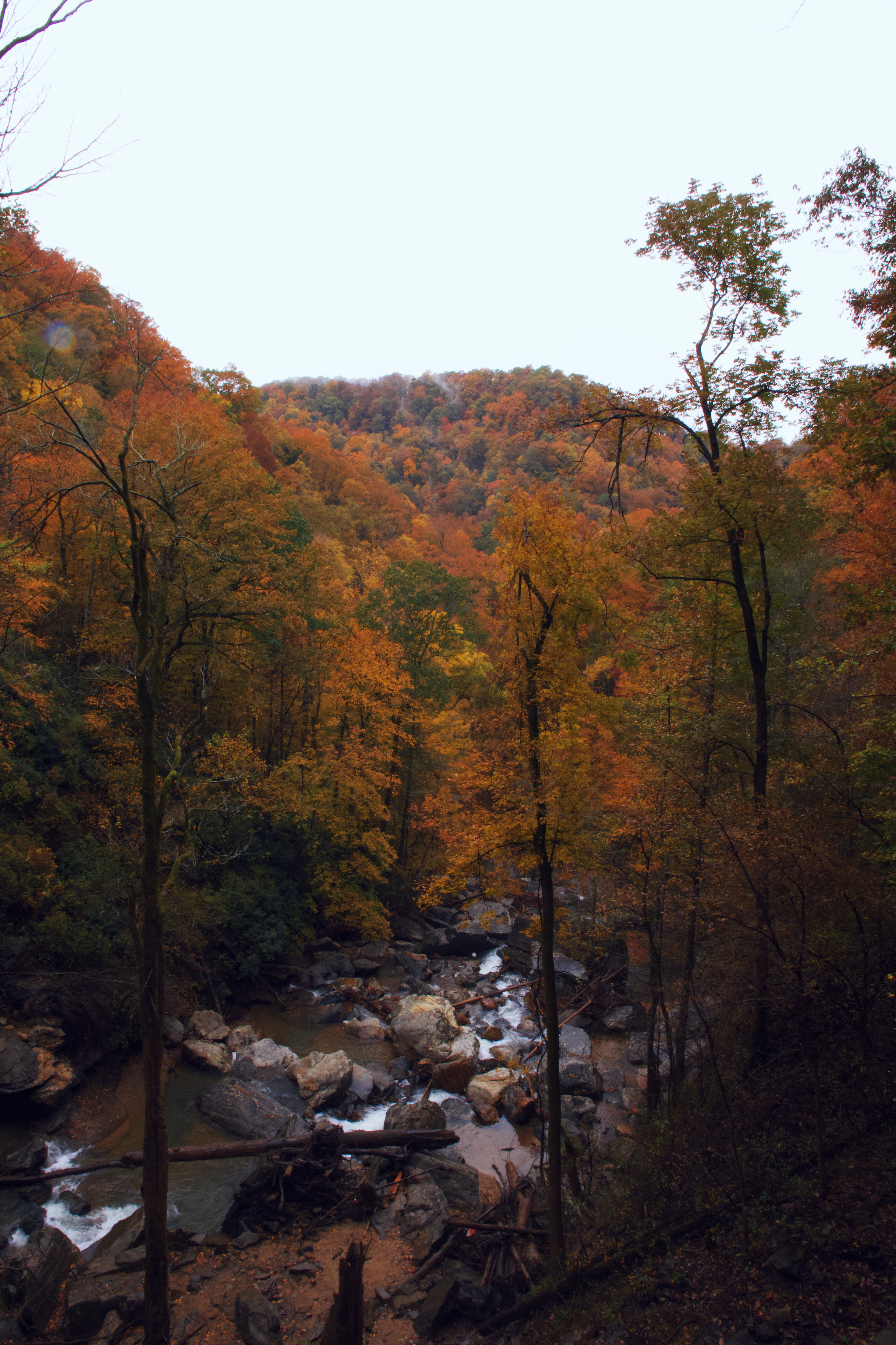 Hike Bradley Falls