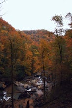 Hike Bradley Falls