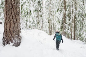 10 Must-Do Winter Adventures near Portland, Oregon