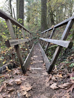 Hike the Red Trail in Miller Woods