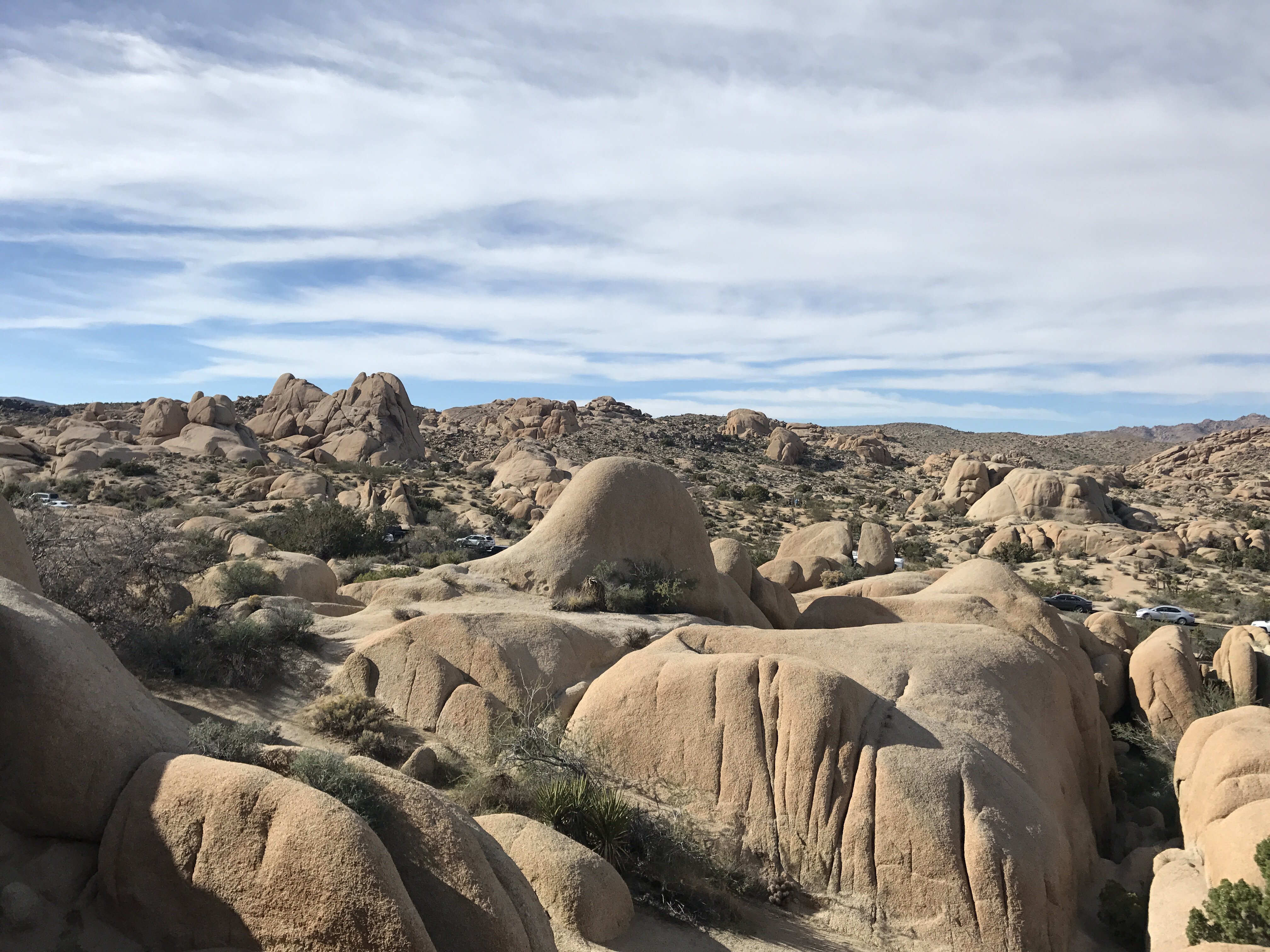 Skull Rock Trail at Joshua Tree National Park