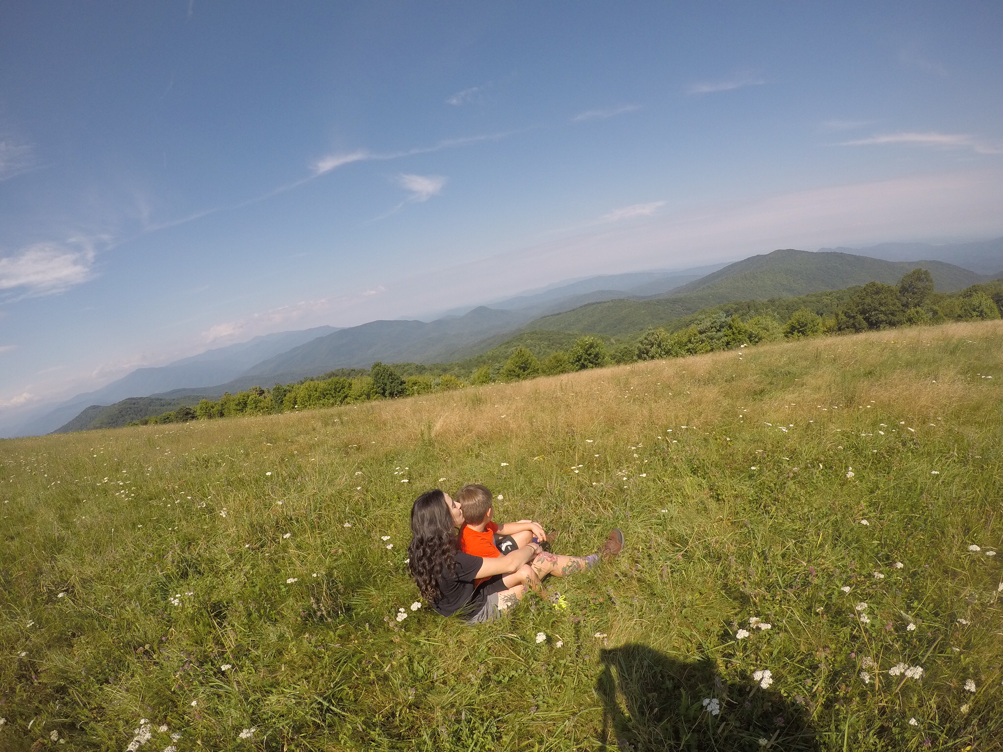 Max Patch Mountain