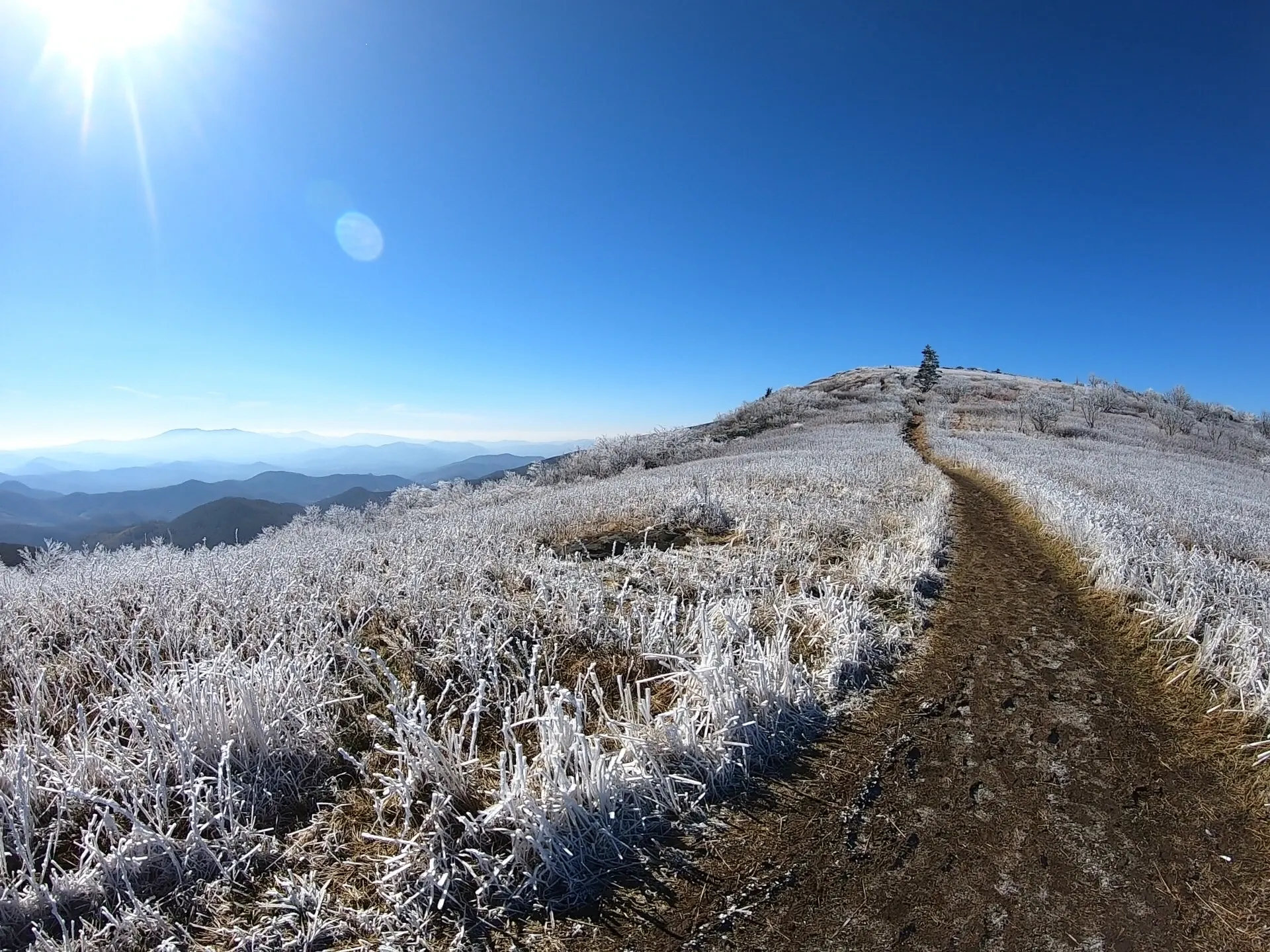 Backpack to Overmountain Shelter in the Roan Highlands