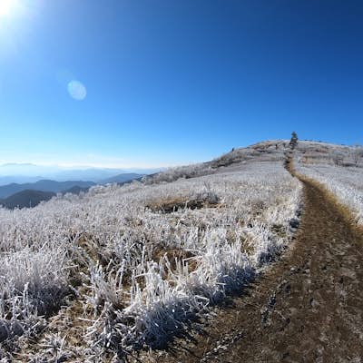 Backpack to Overmountain Shelter in the Roan Highlands