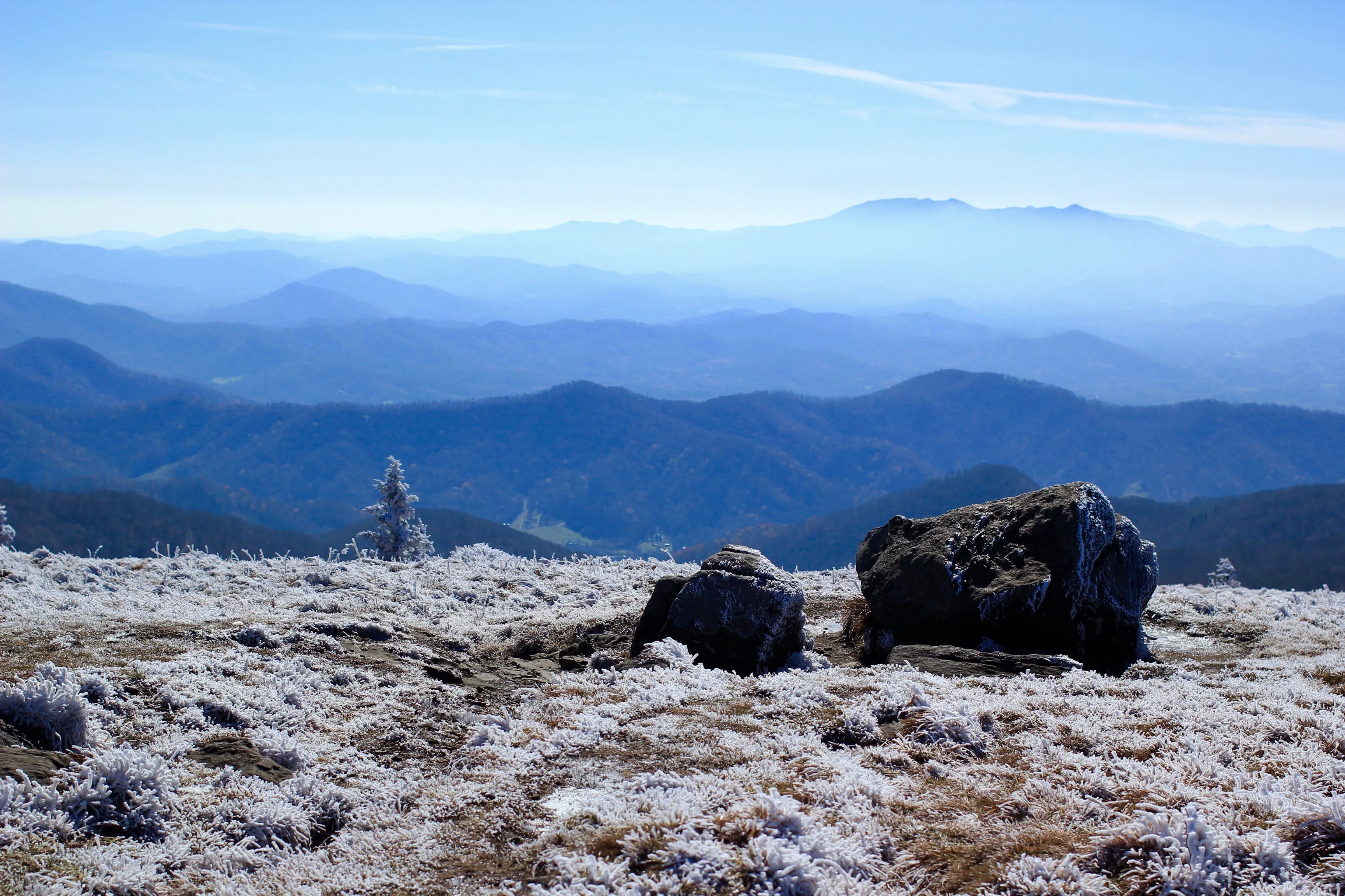 Backpack to Overmountain Shelter in the Roan Highlands