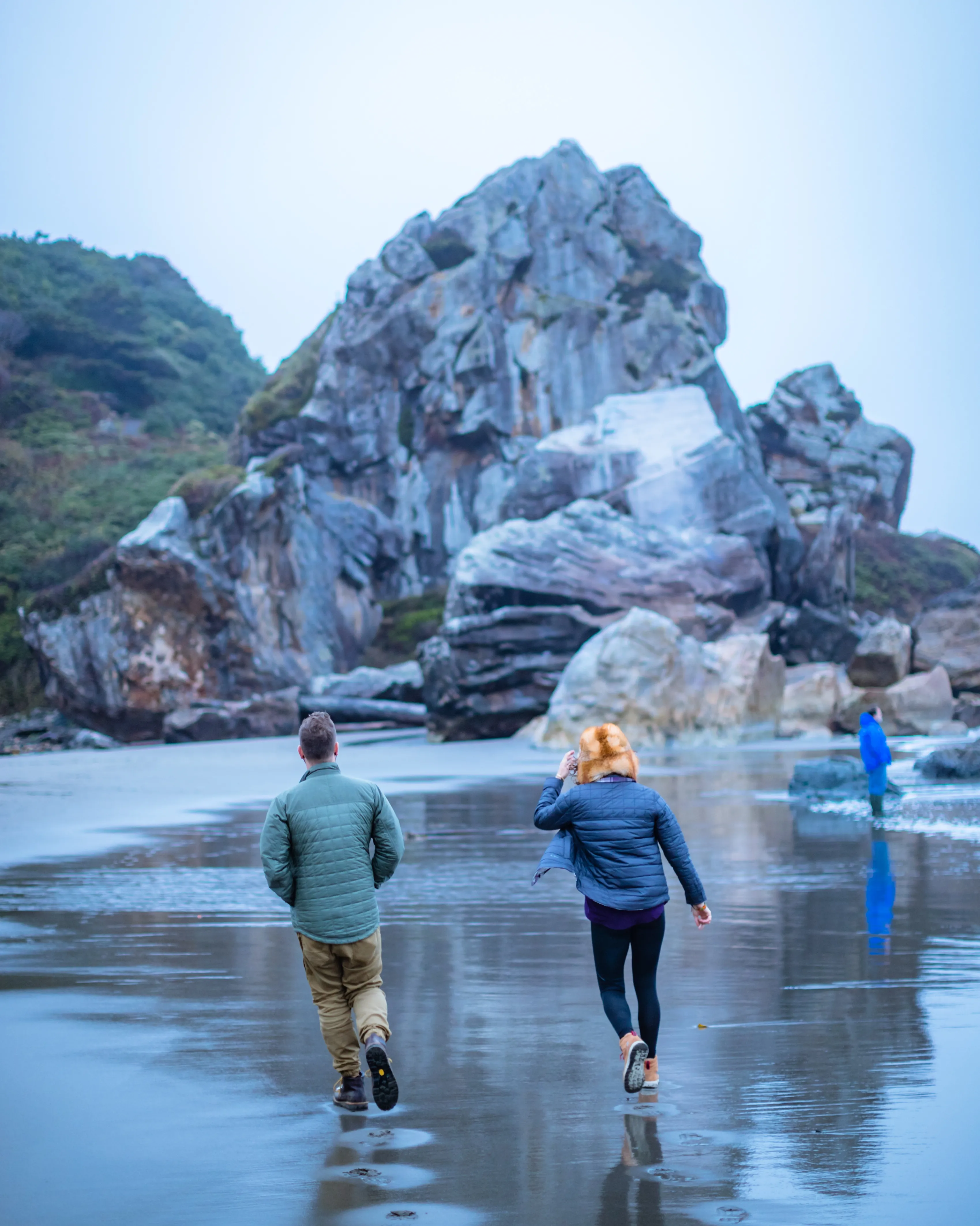 Explore the Marine Garden at Harris Beach SP