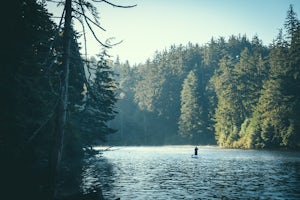 Paddleboard Lake Marie at the Umpqua Lighthouse State Park