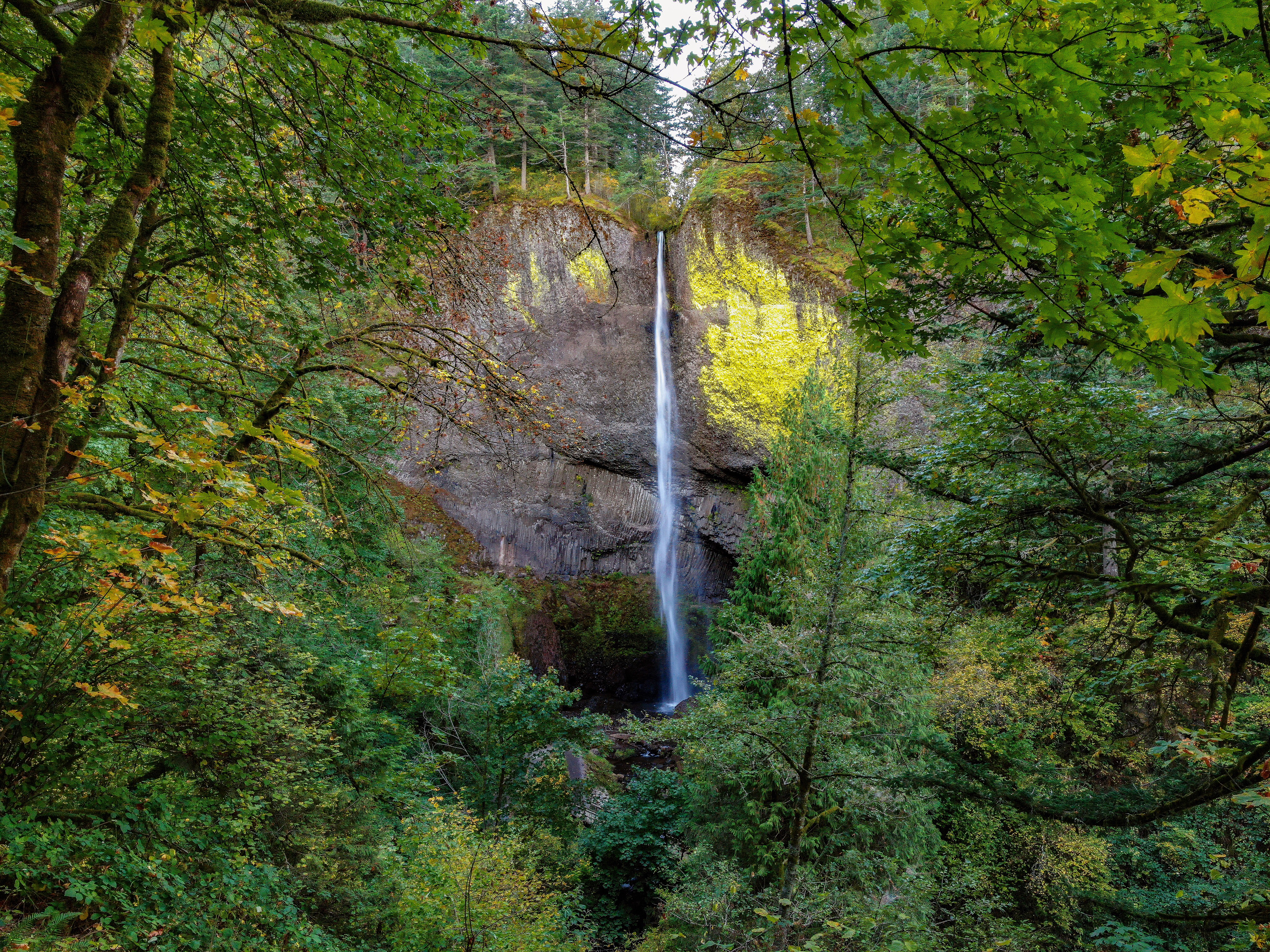 Latourell Falls Loop