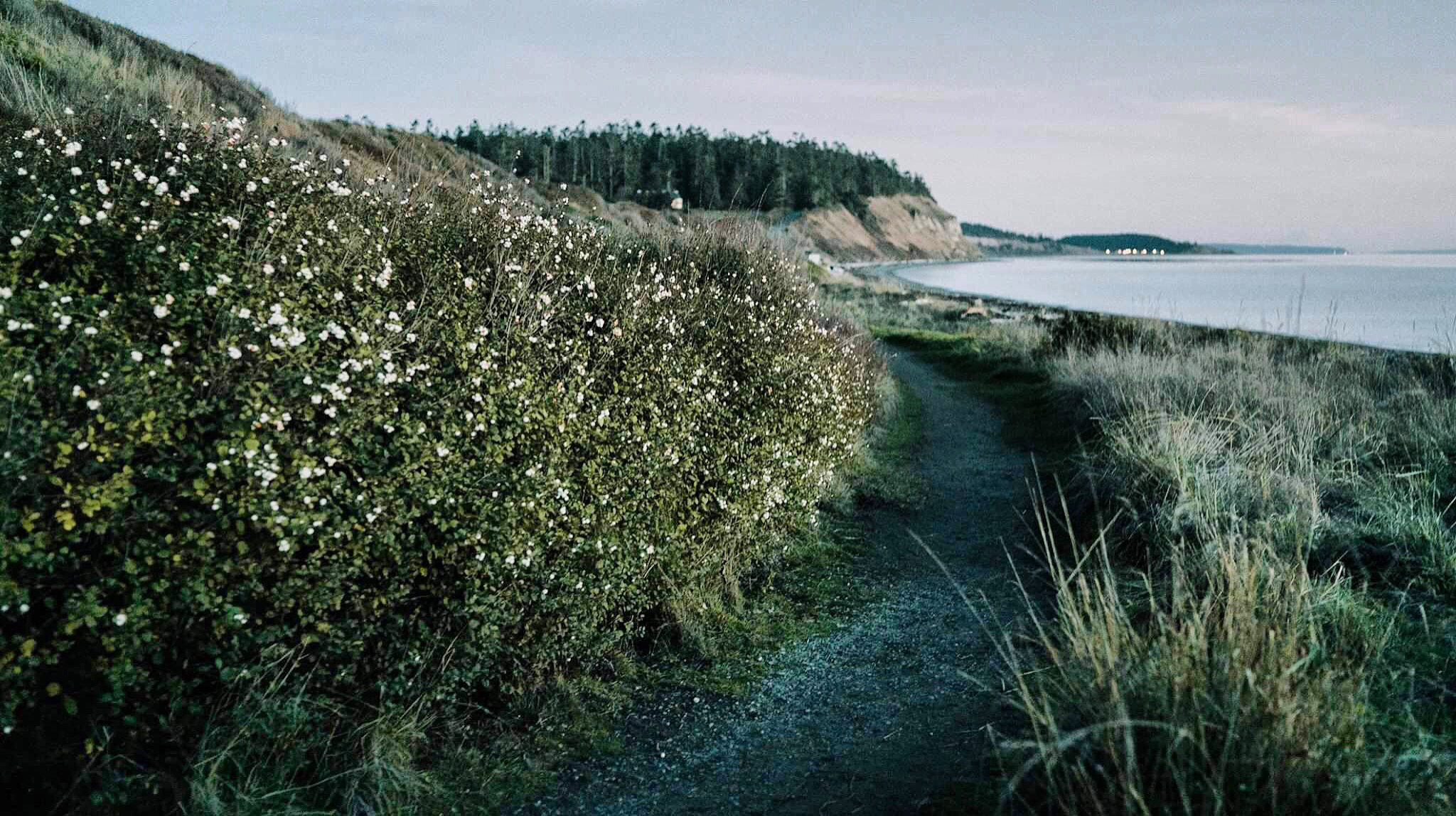 Hike Ebey's Landing