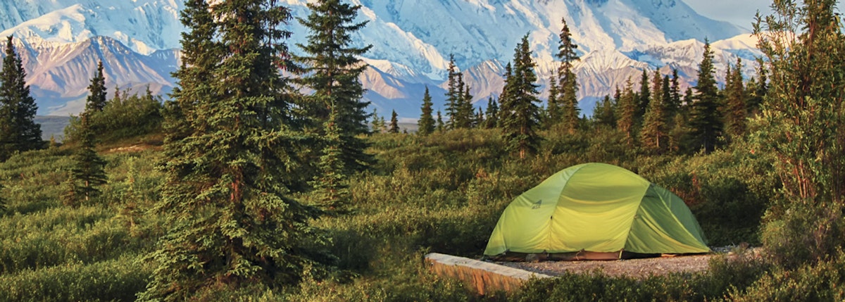 denali national campgrounds