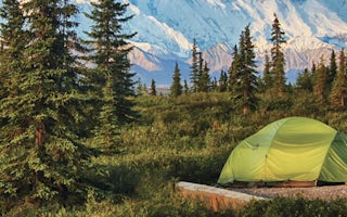 Denali National Park Campgrounds