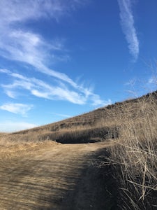 Colinas Ridge Trail