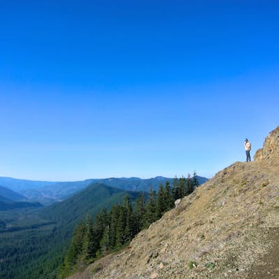 Hike the Timberline Loop Trail via the Top Spur Trail