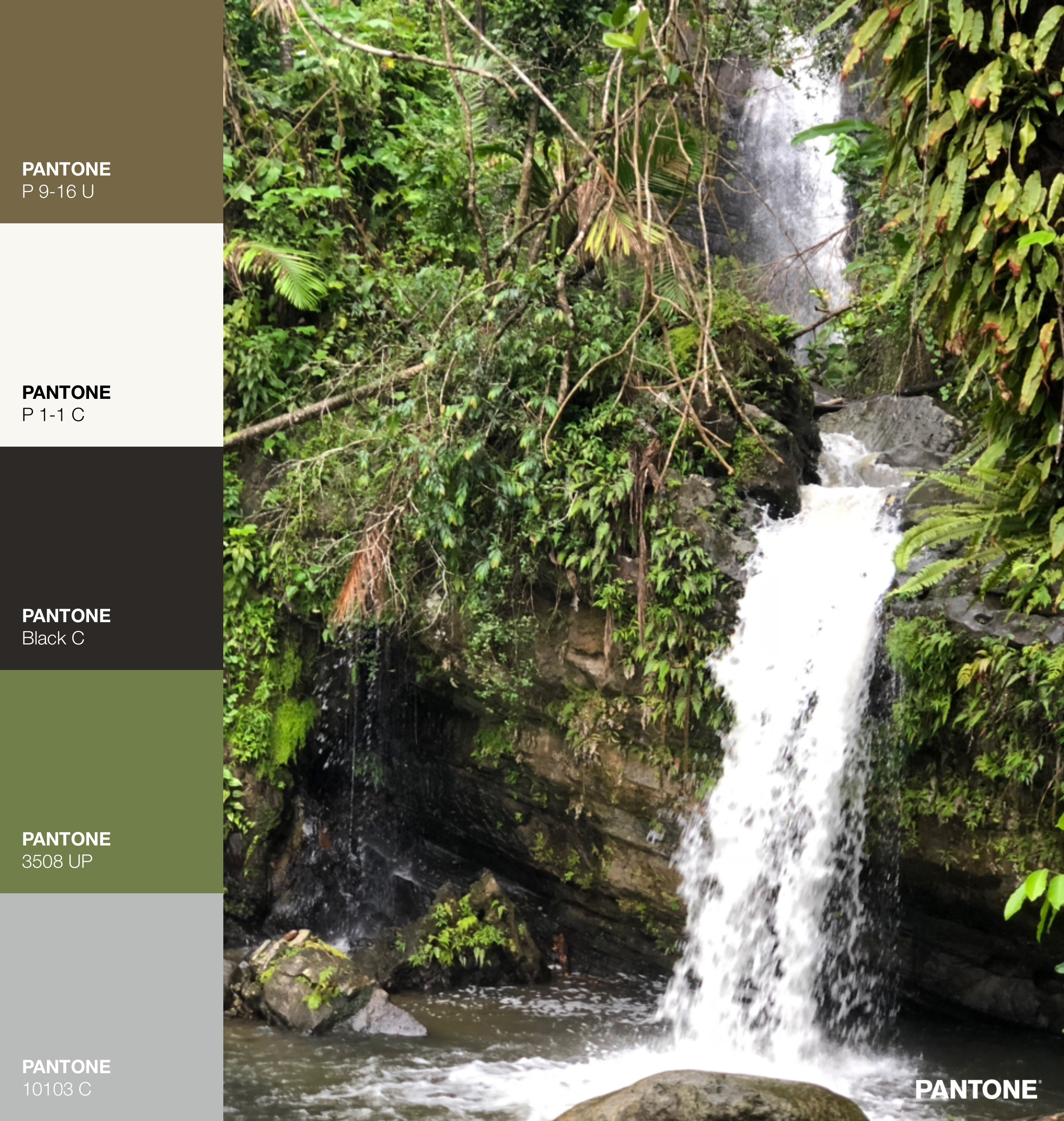 Explore Juan Diego Falls