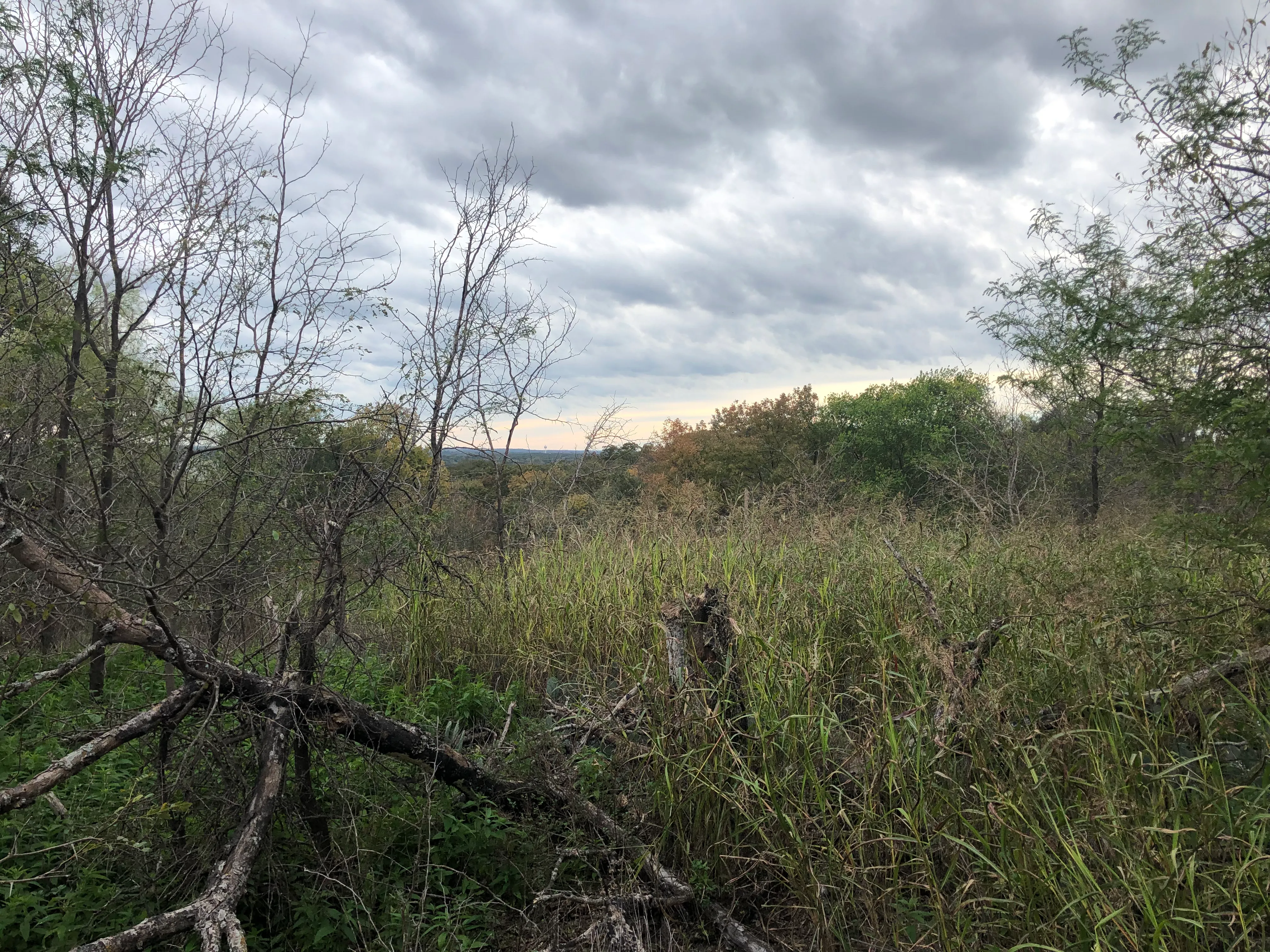 Hike Eagle Mountain Park