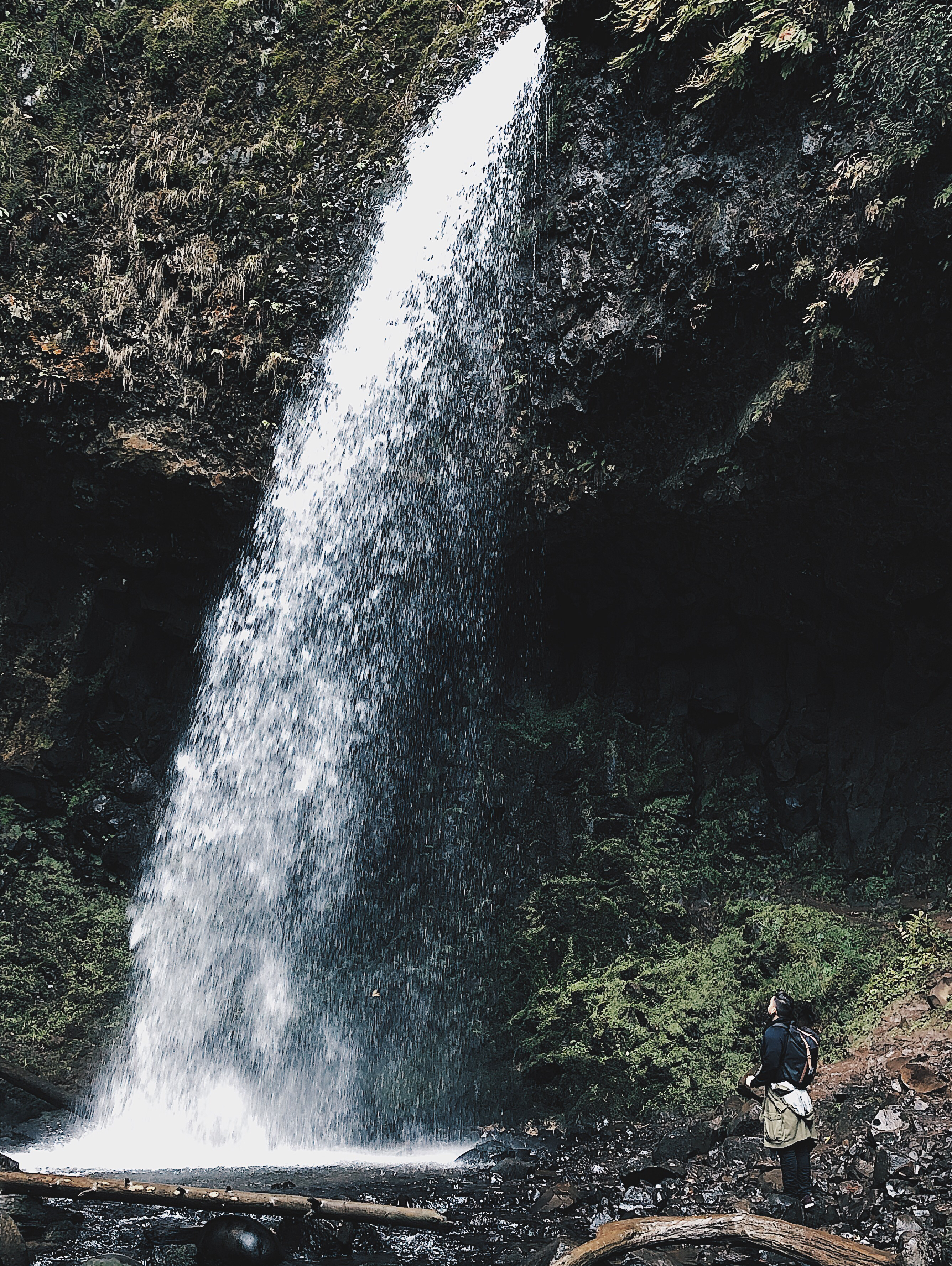 Latourell Falls Loop