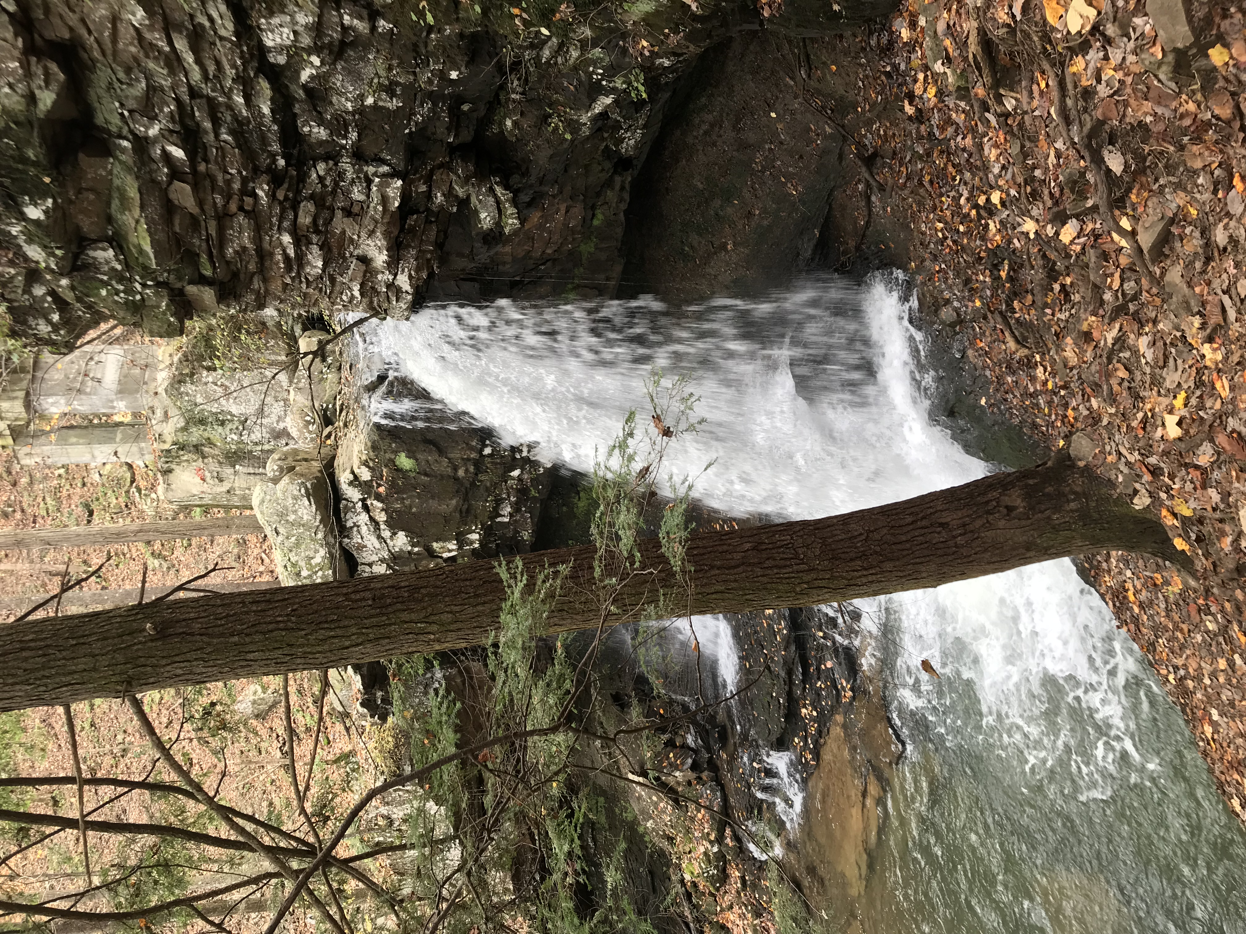 Cloudland Canyon's Waterfall Trail