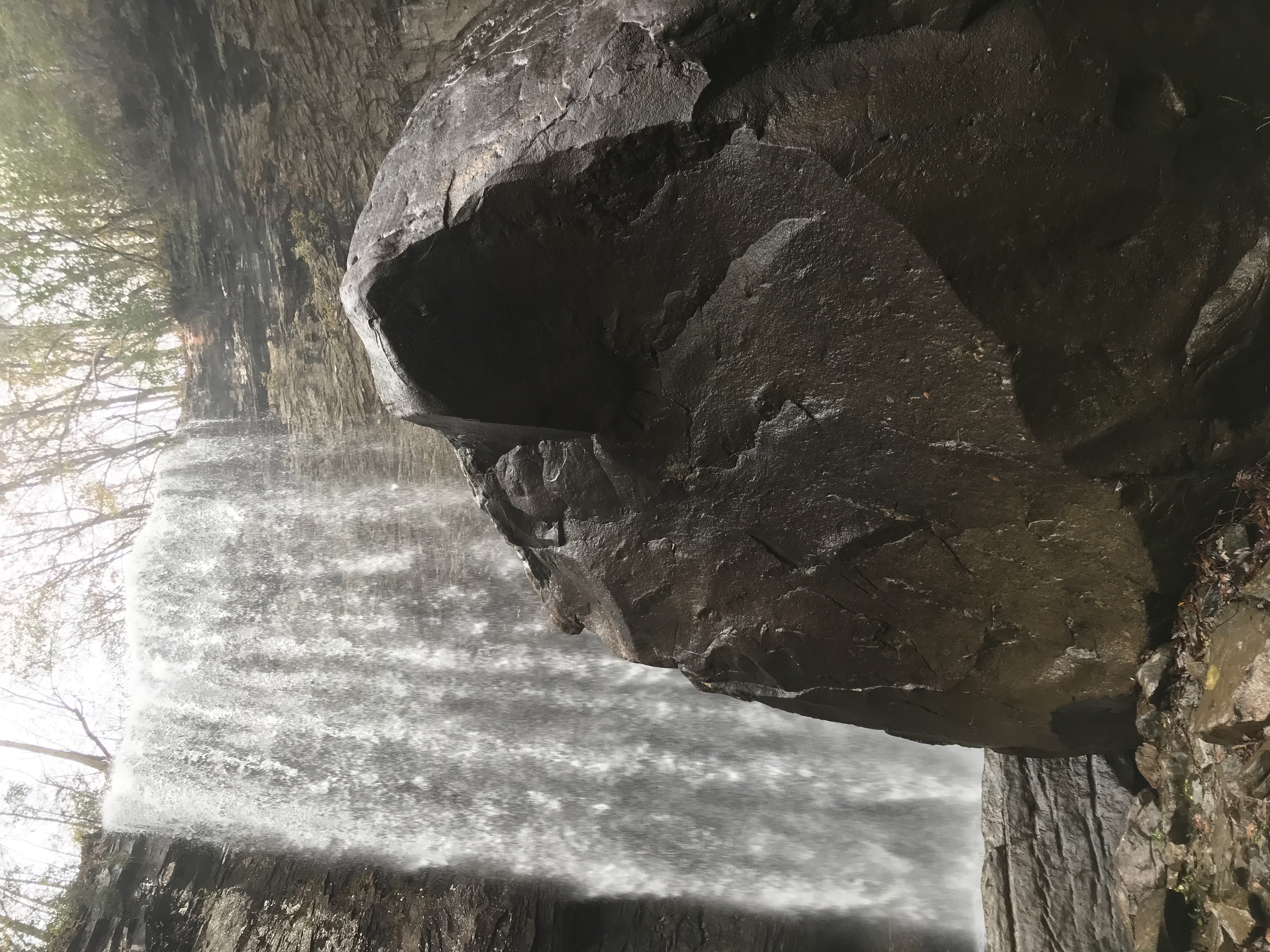 Cloudland Canyon's Waterfall Trail
