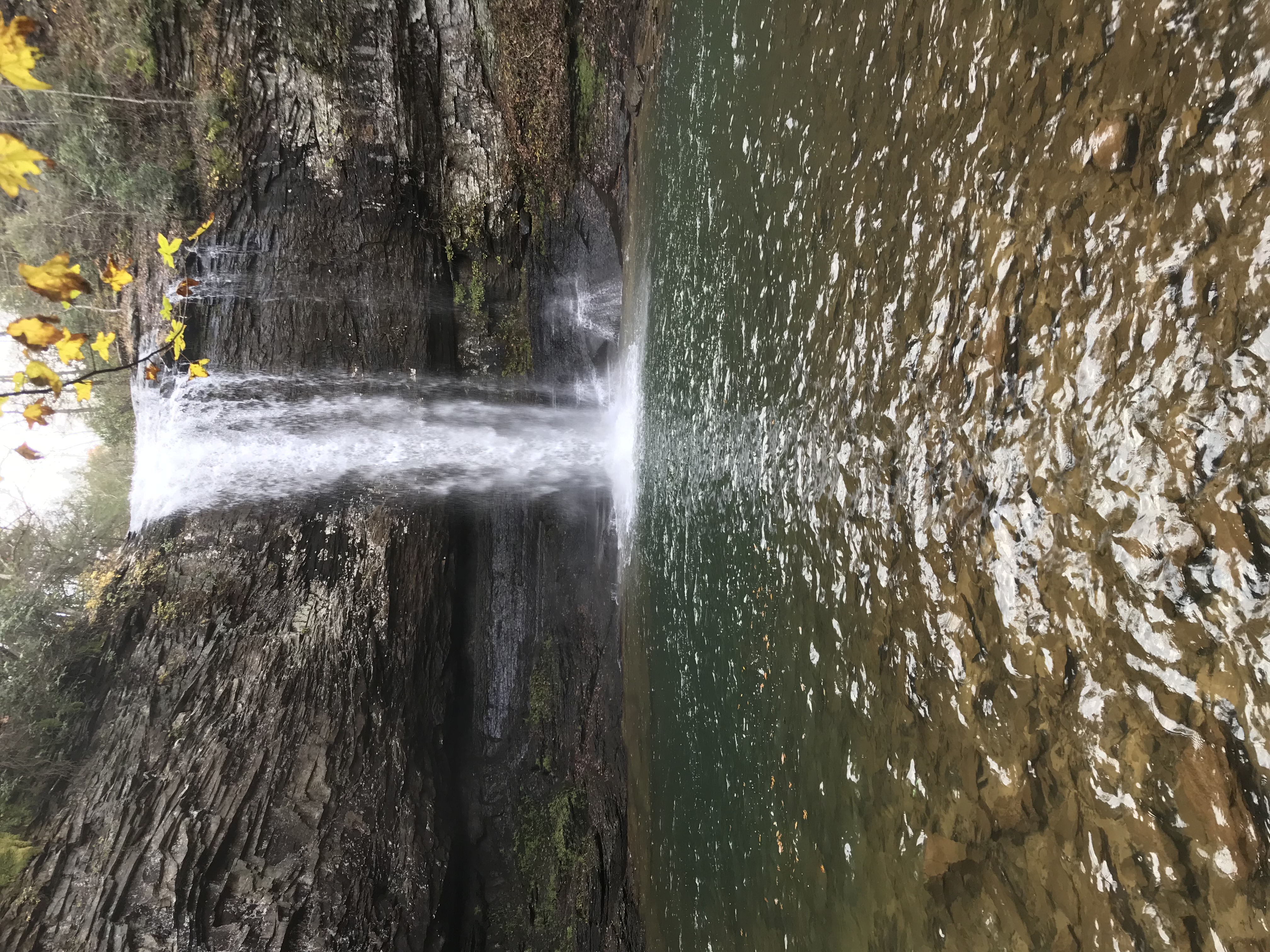 Cloudland Canyon's Waterfall Trail