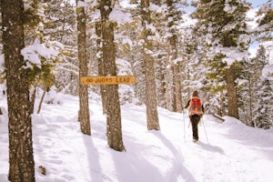 Cross Country Ski or Snowshoe the Enchanted Forest Snowplay Area