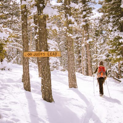 Cross Country Ski or Snowshoe the Enchanted Forest Snowplay Area