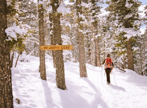 Cross Country Ski or Snowshoe the Enchanted Forest Snowplay Area