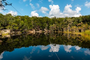 Swim in Cenote Las Mojarras