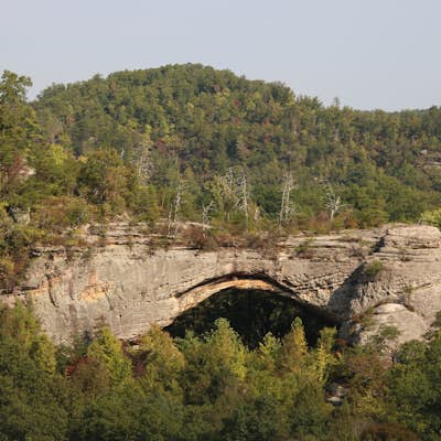 Hike to Natural Arch in Daniel Boone National Forest