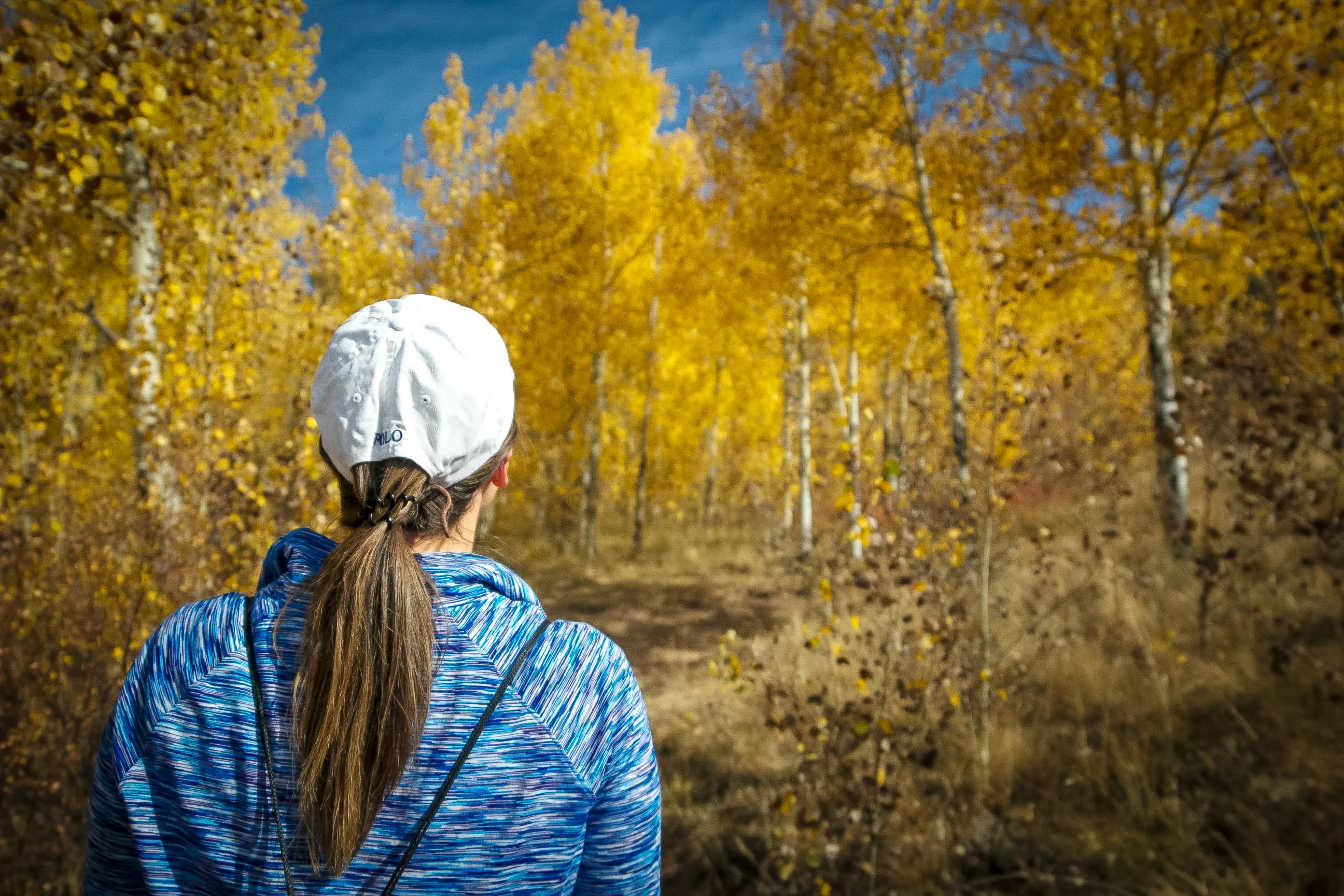 Hike the Blue Grouse Trail Loop