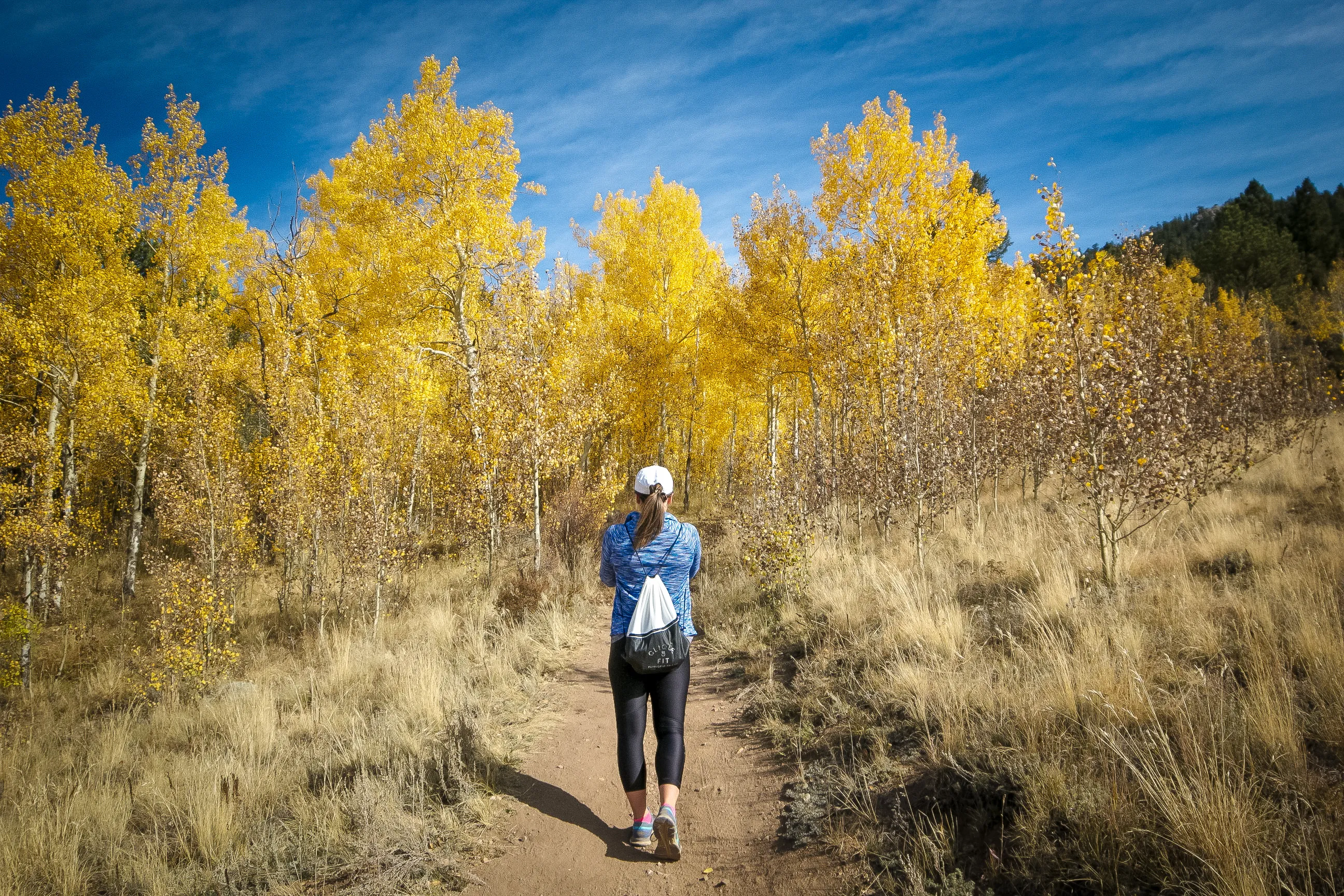 Hike the Blue Grouse Trail Loop