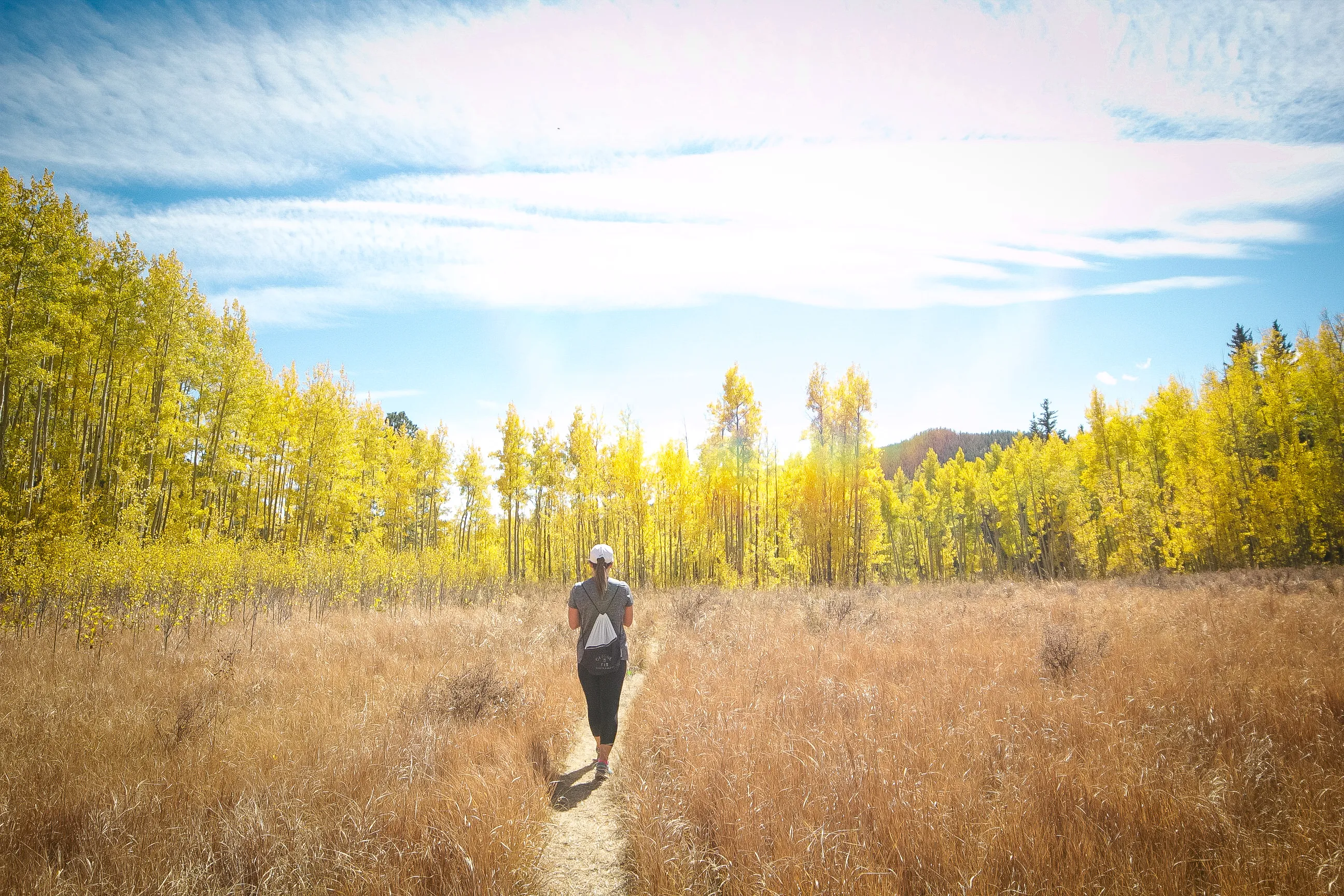 Hike the Blue Grouse Trail Loop