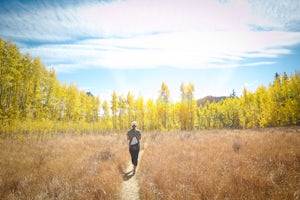 Hike the Blue Grouse Trail Loop