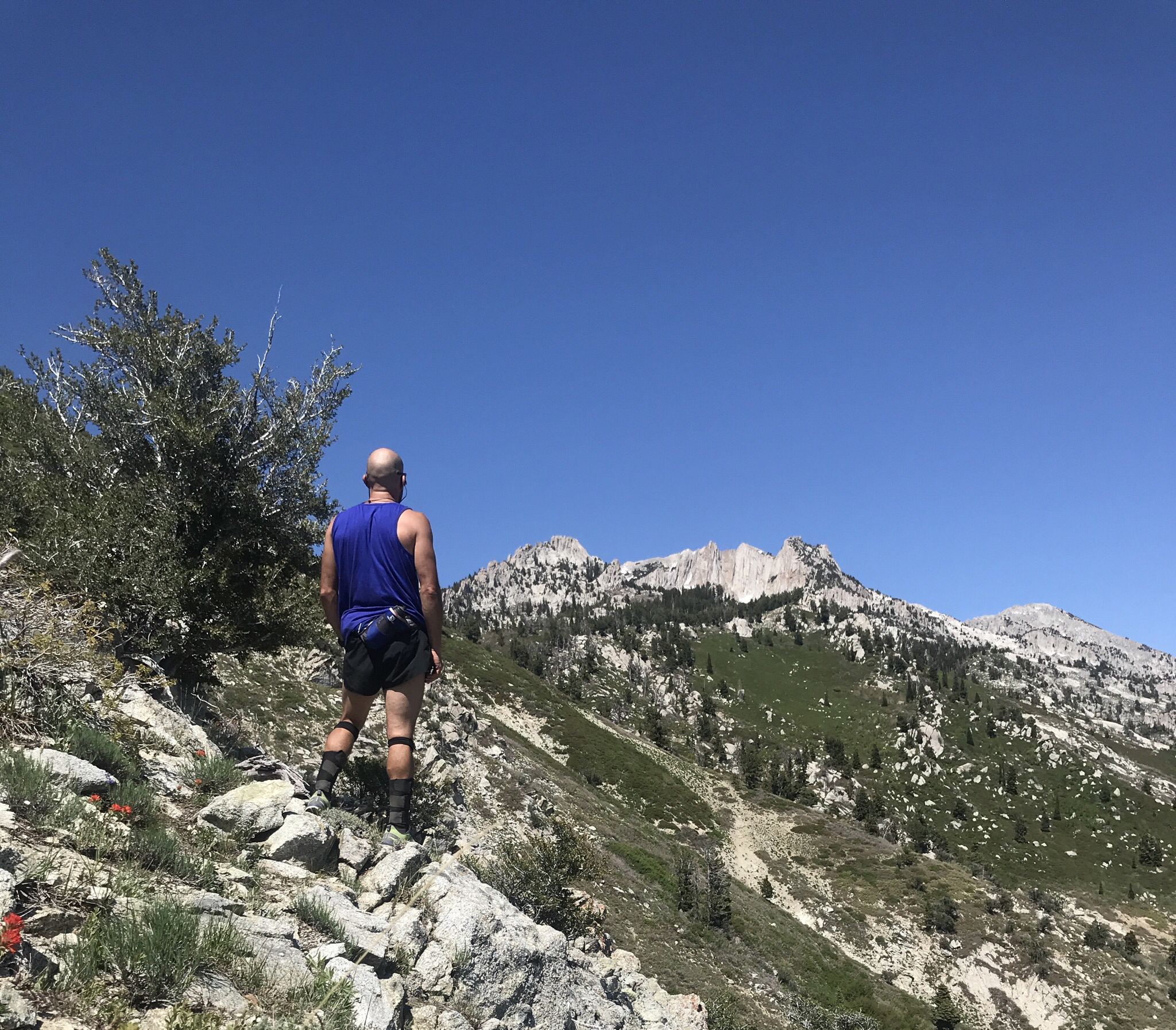 Lone Peak via Jacobs Ladder 