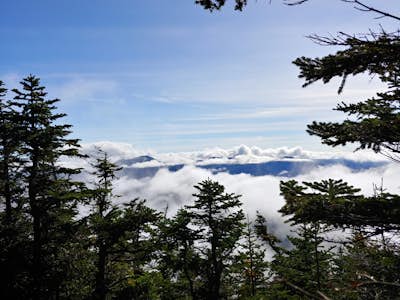 Hike the Tom, Field, Willey and Avalon Traverse
