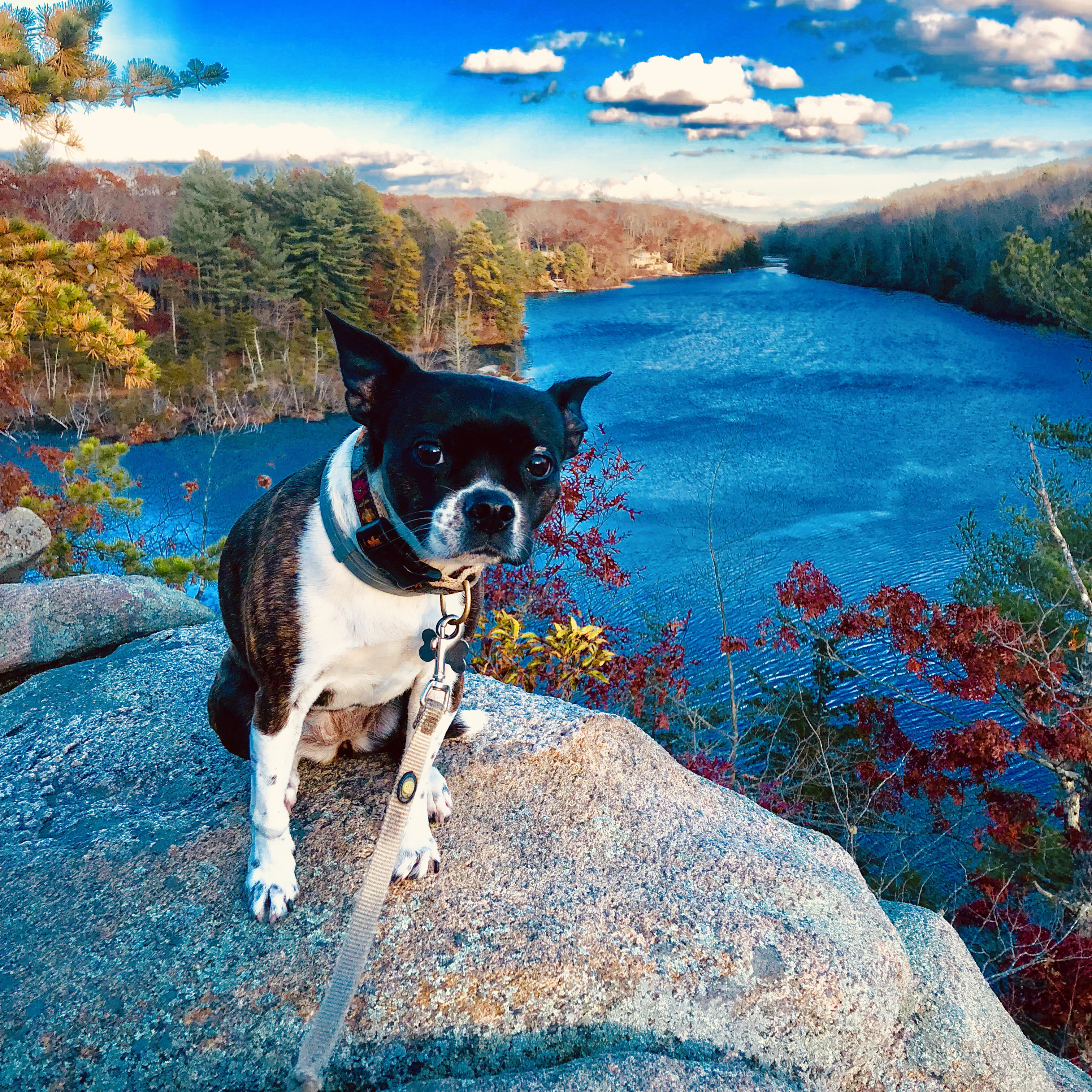 Hike to Long Pond & Ell Pond